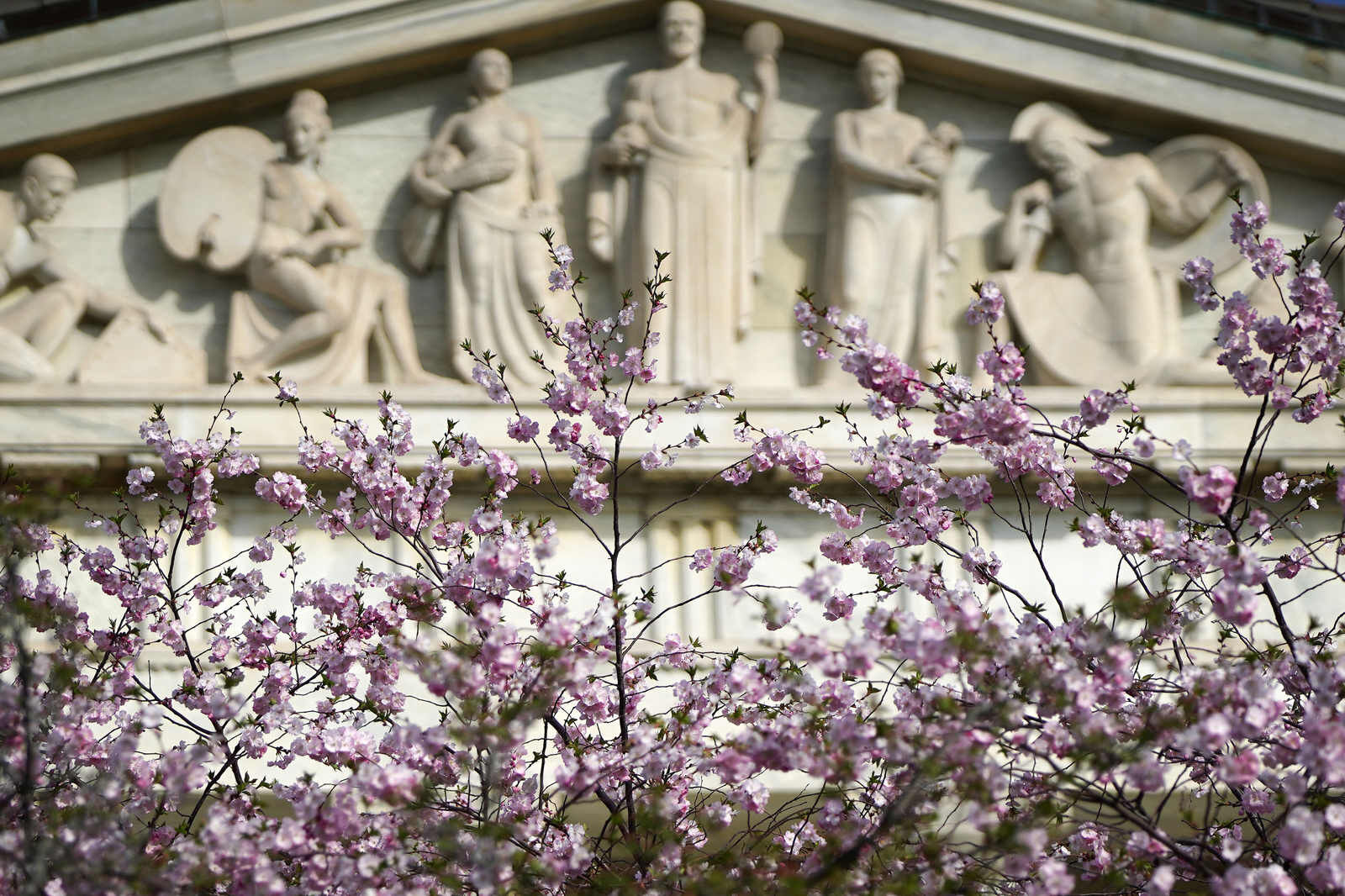 Classical audience
